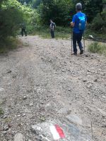 Sentiero_adottato_2020 (13)